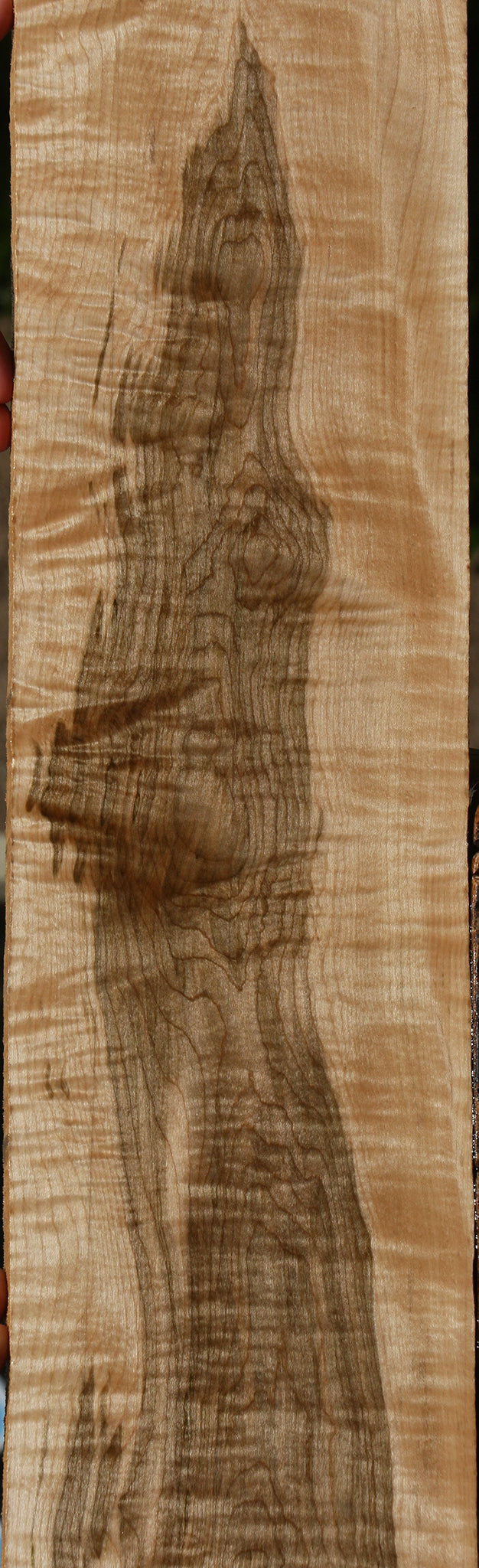 Extra Fancy Curly Eastern Red Maple Lumber