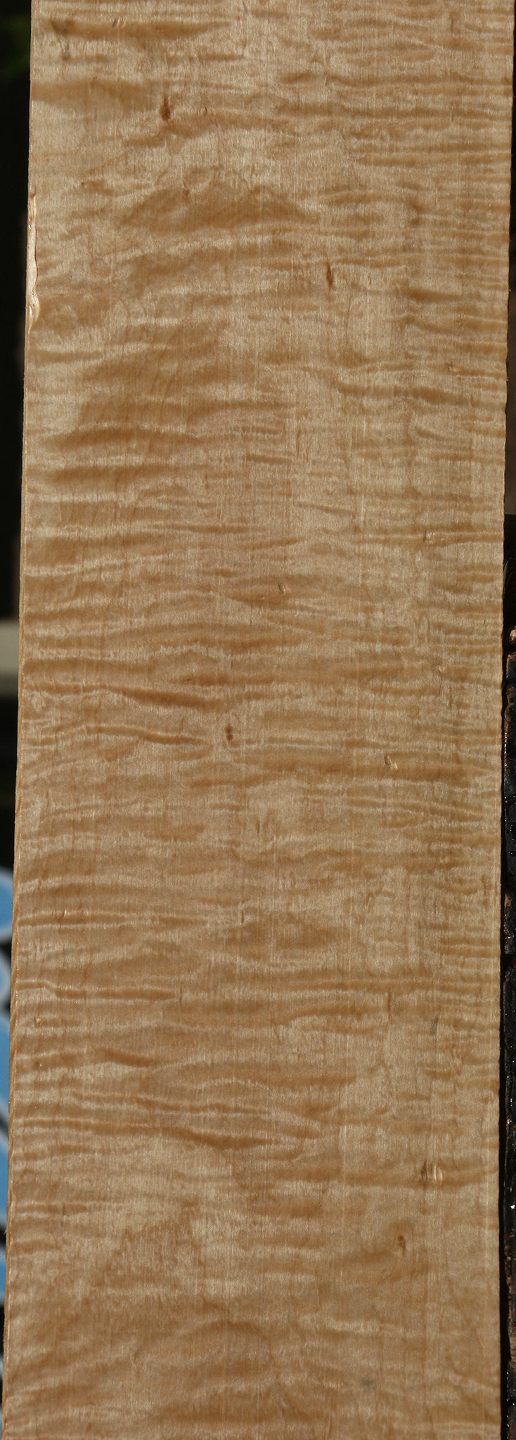 Figured Curly Eastern Red Maple Lumber