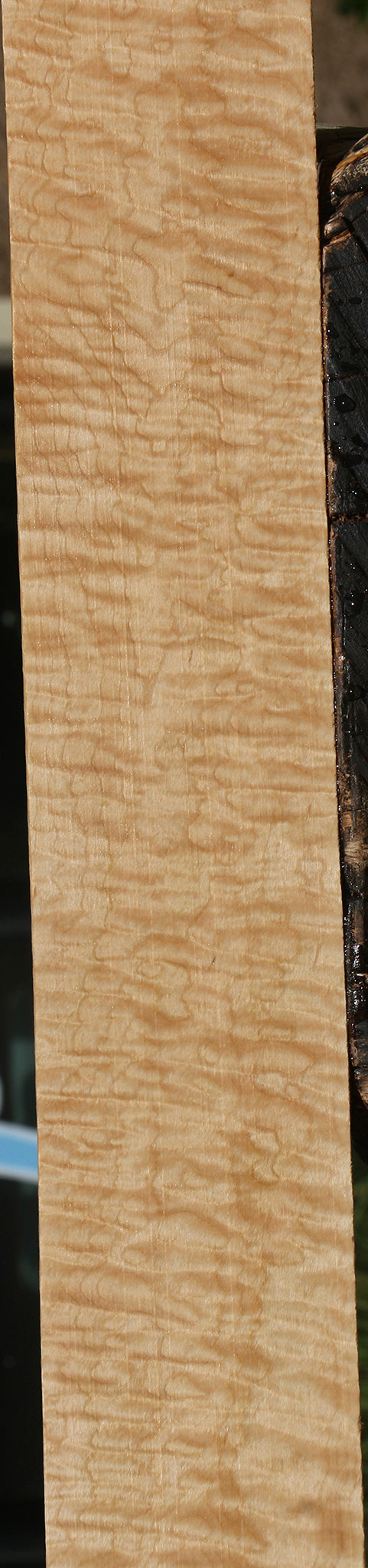 Extra Fancy Curly Eastern Red Maple Lumber