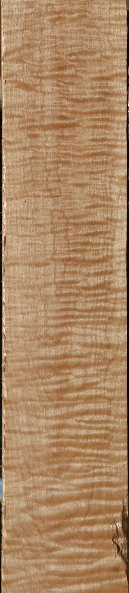 Extra Fancy Curly Eastern Red Maple Lumber