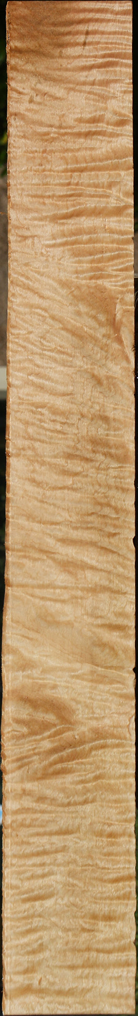 Extra Fancy Curly Eastern Red Maple Lumber