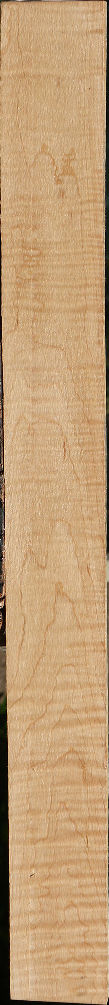 Extra Fancy Curly Eastern Red Maple Lumber