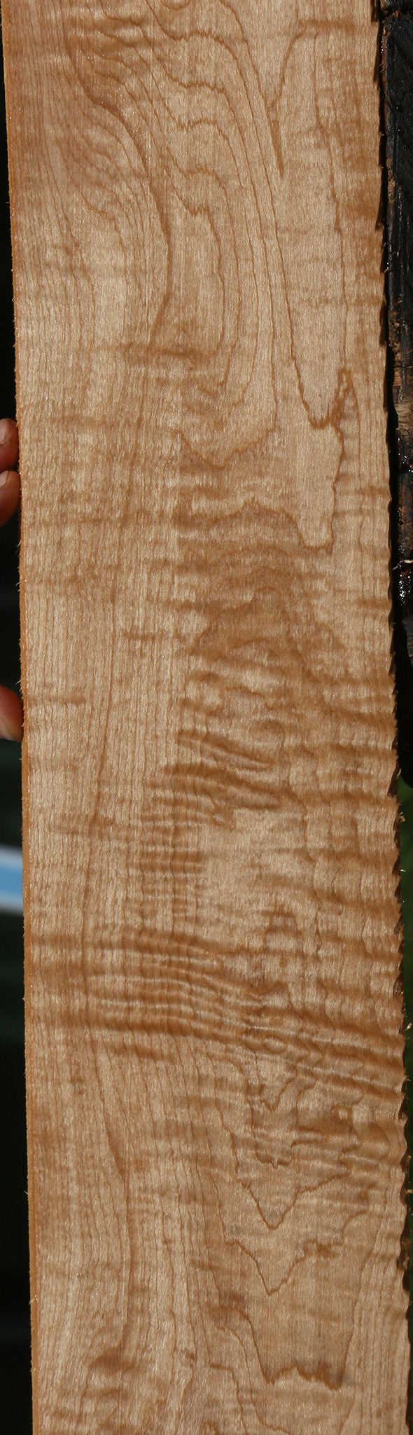 Extra Fancy Curly Eastern Red Maple Micro Lumber