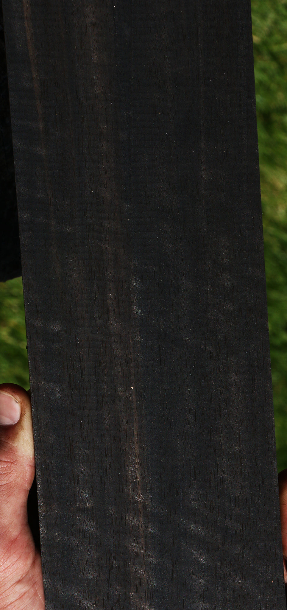 Fiddleback Gabon Ebony Micro Lumber