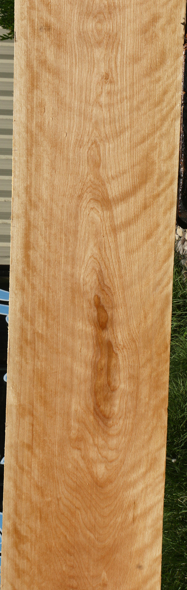 Figured Curly Birch Lumber