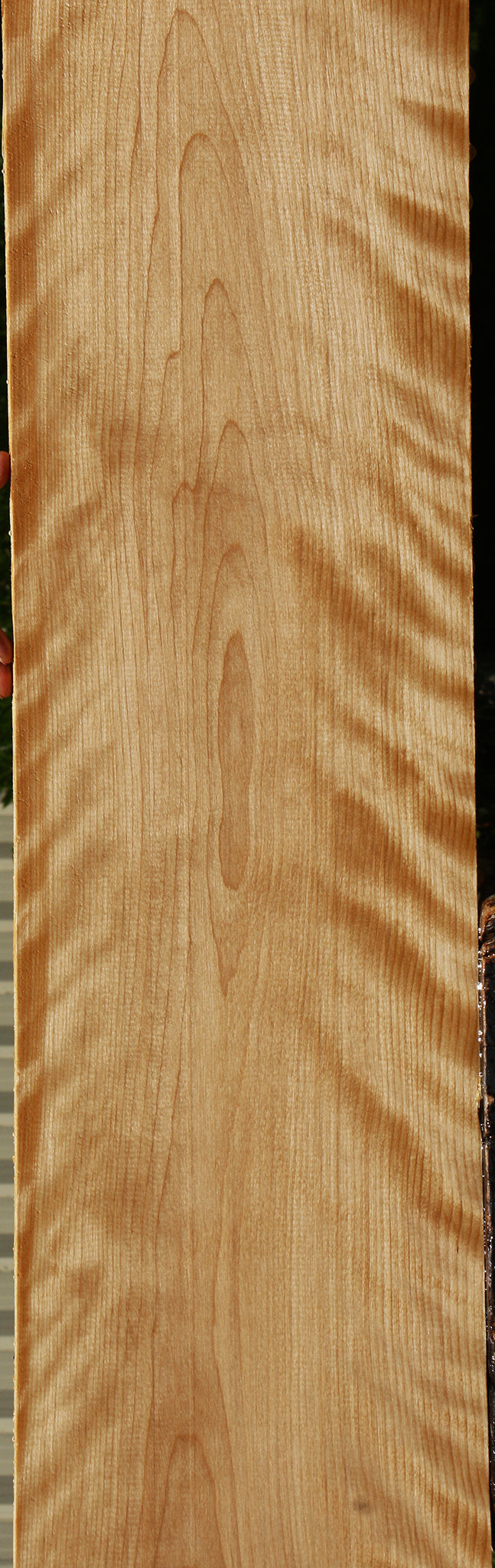 Figured Curly Birch Lumber