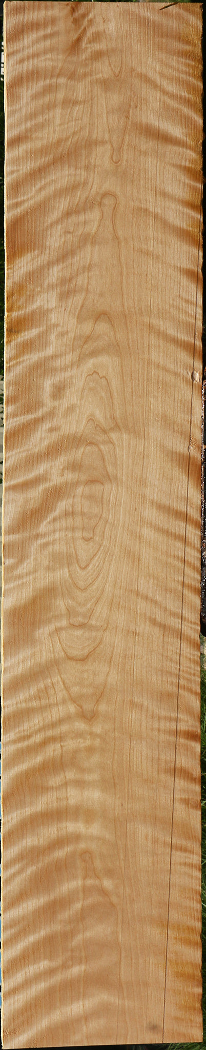 Extra Fancy Curly Birch Lumber