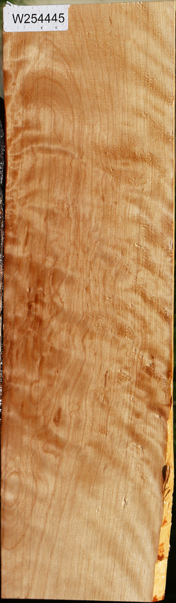 Extra Fancy Curly Birch Lumber