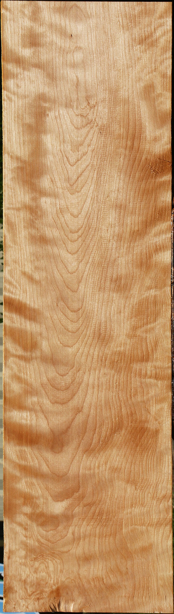 Extra Fancy Curly Birch Lumber