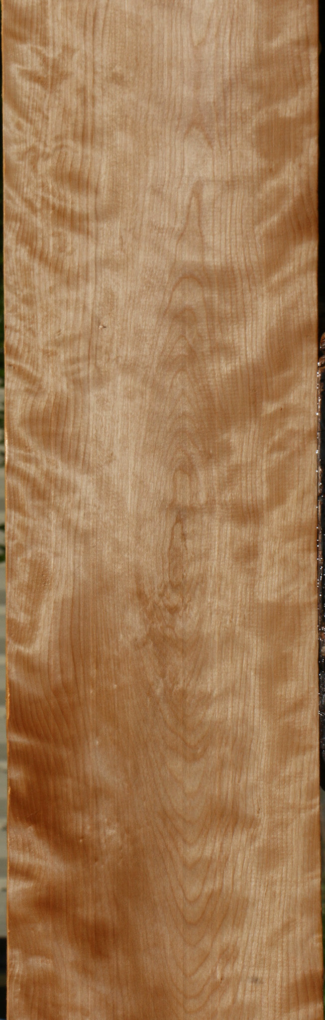 Extra Fancy Curly Birch Lumber