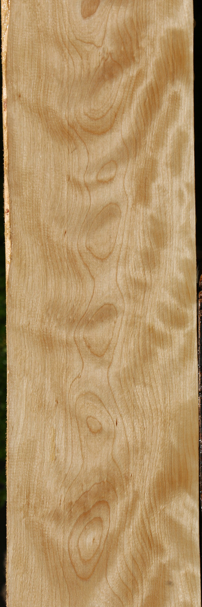 Extra Fancy Curly Birch Lumber