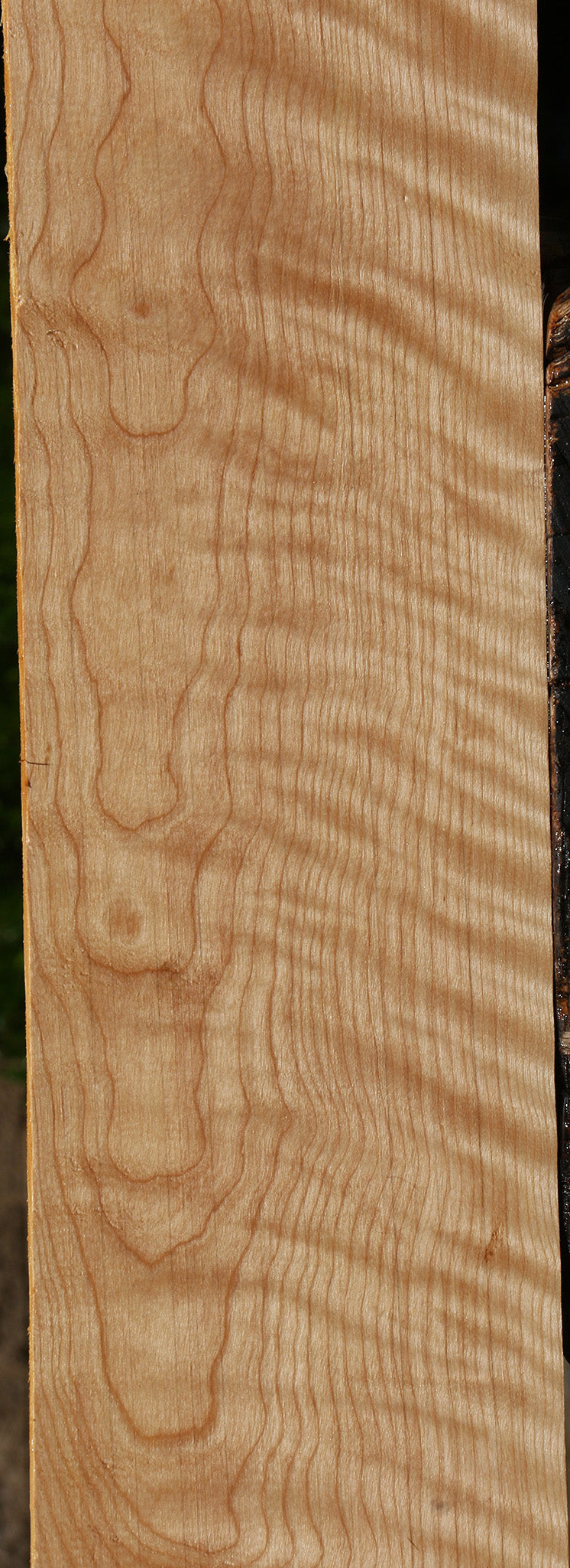 Extra Fancy Curly Birch Lumber
