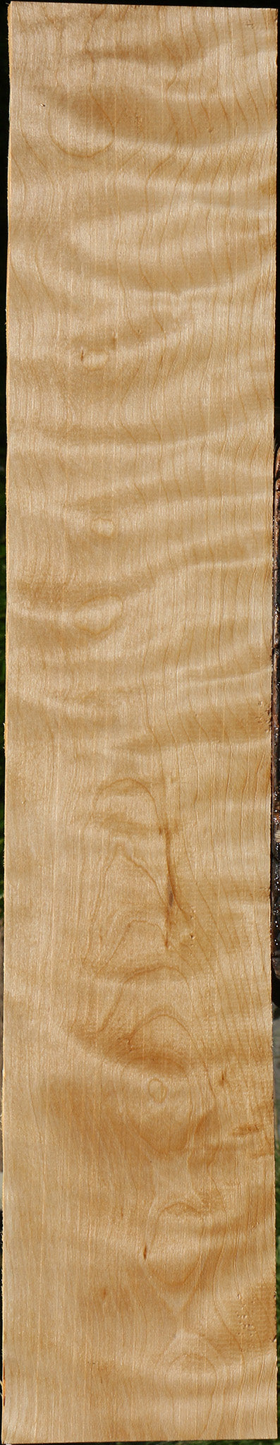 Extra Fancy Curly Birch Lumber