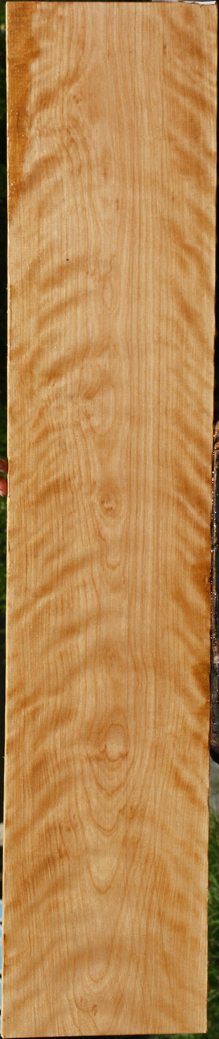 Extra Fancy Curly Birch Lumber