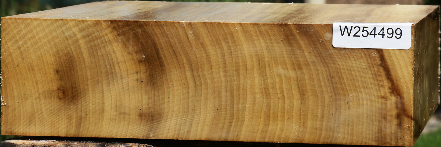Extra Fancy Quartersawn Myrtle Bowl Blank