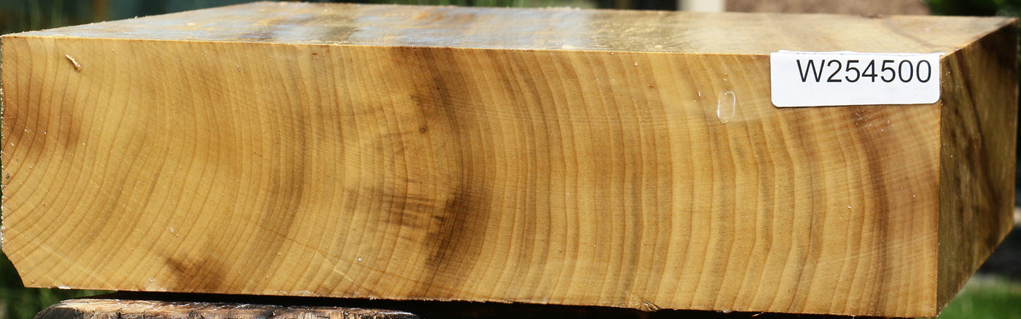 Extra Fancy Quartersawn Myrtle Bowl Blank