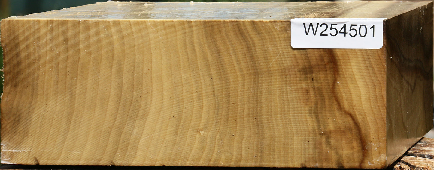 Extra Fancy Quartersawn Myrtle Bowl Blank