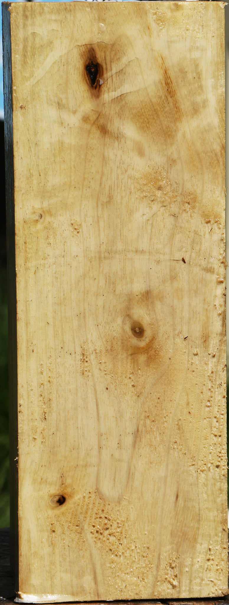 Figured Myrtle Vessel Blank