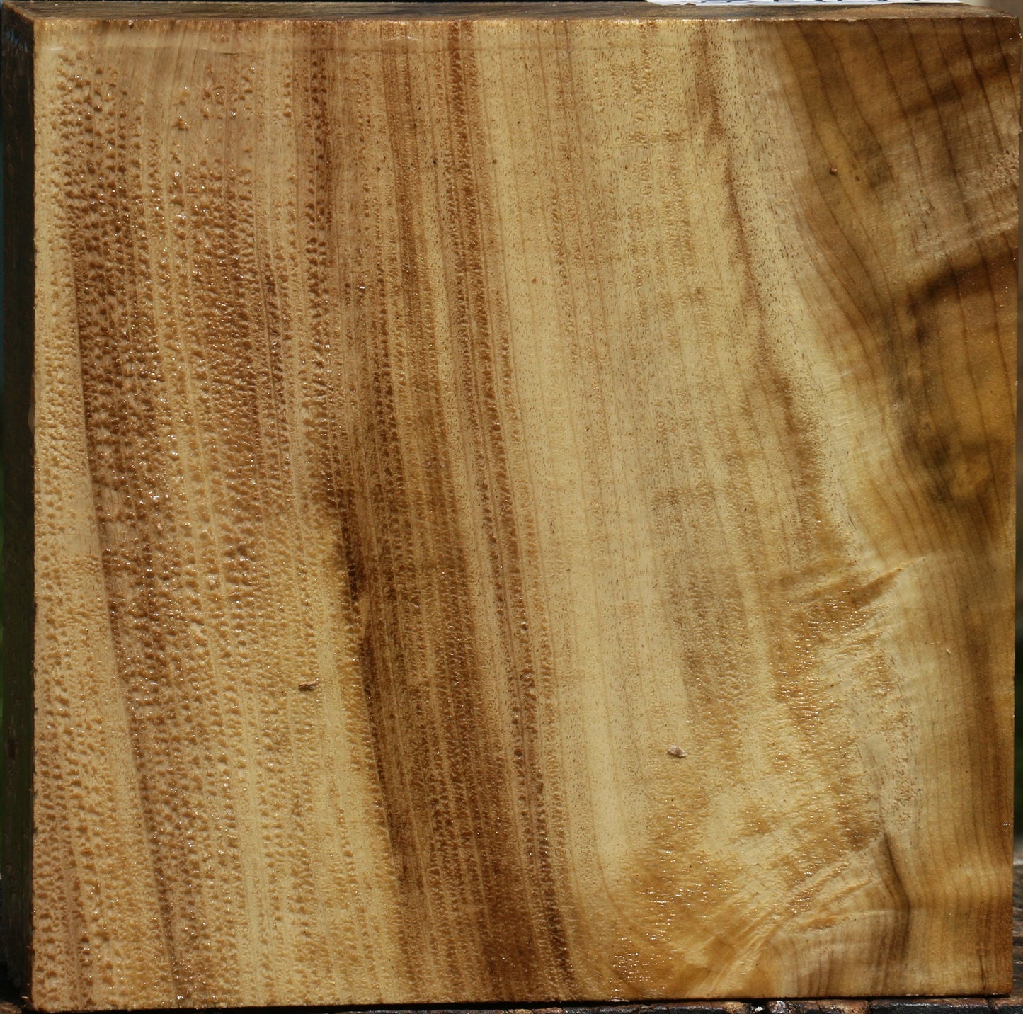 Figured Myrtle Bowl Blank