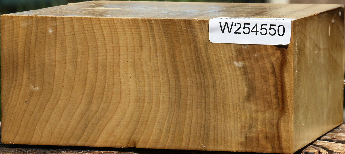 Extra Fancy Quartersawn Myrtle Bowl Blank