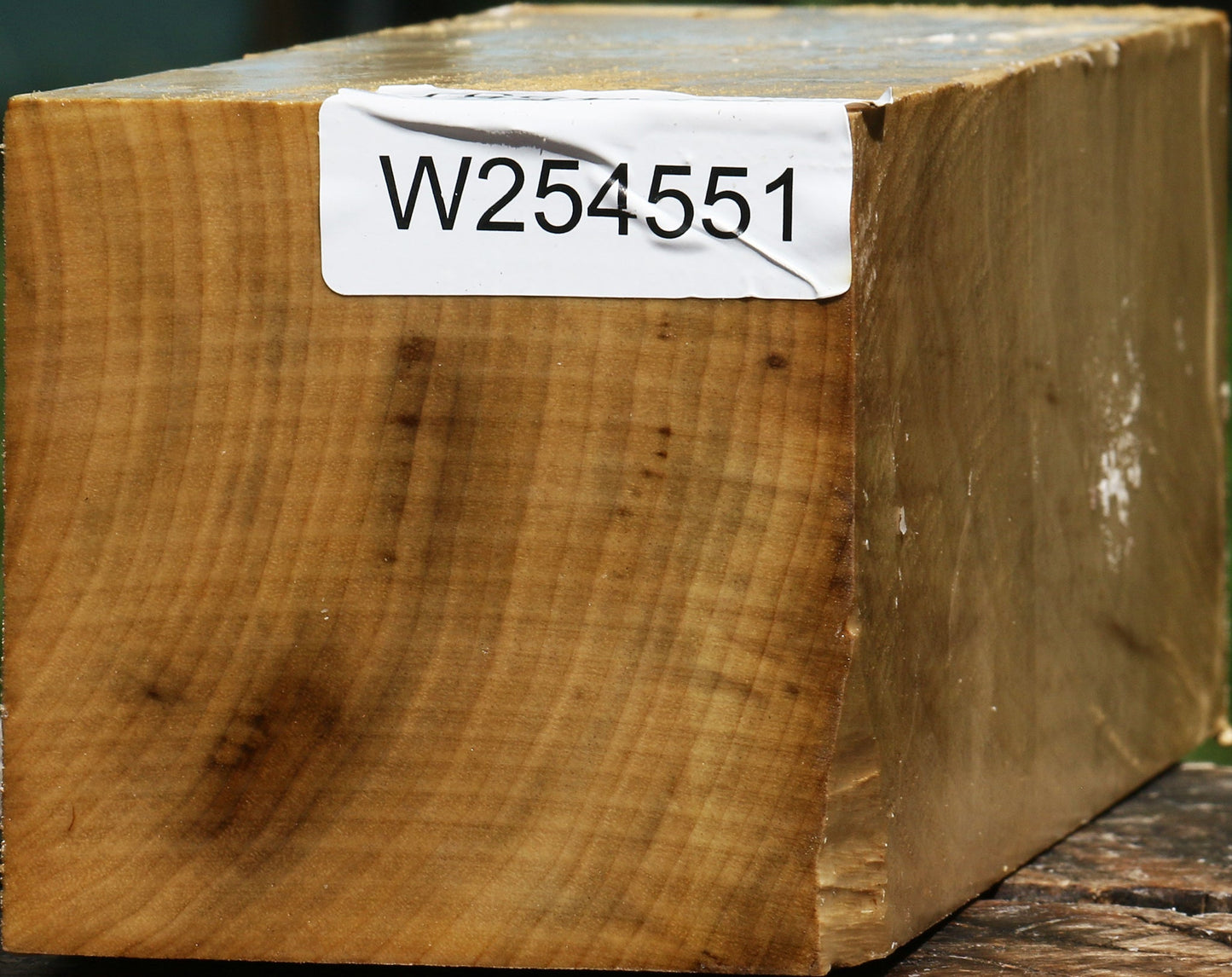 Myrtle Vessel Blank