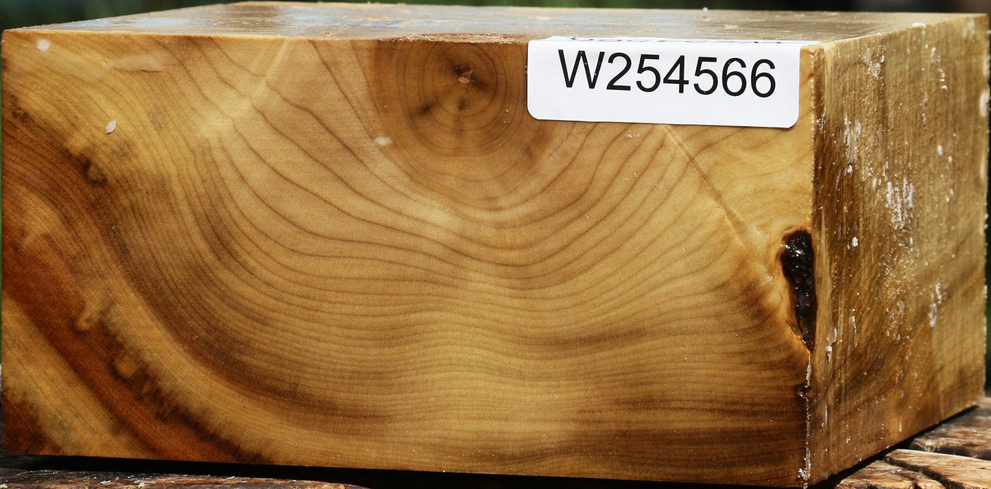 Figured Myrtle Bowl Blank