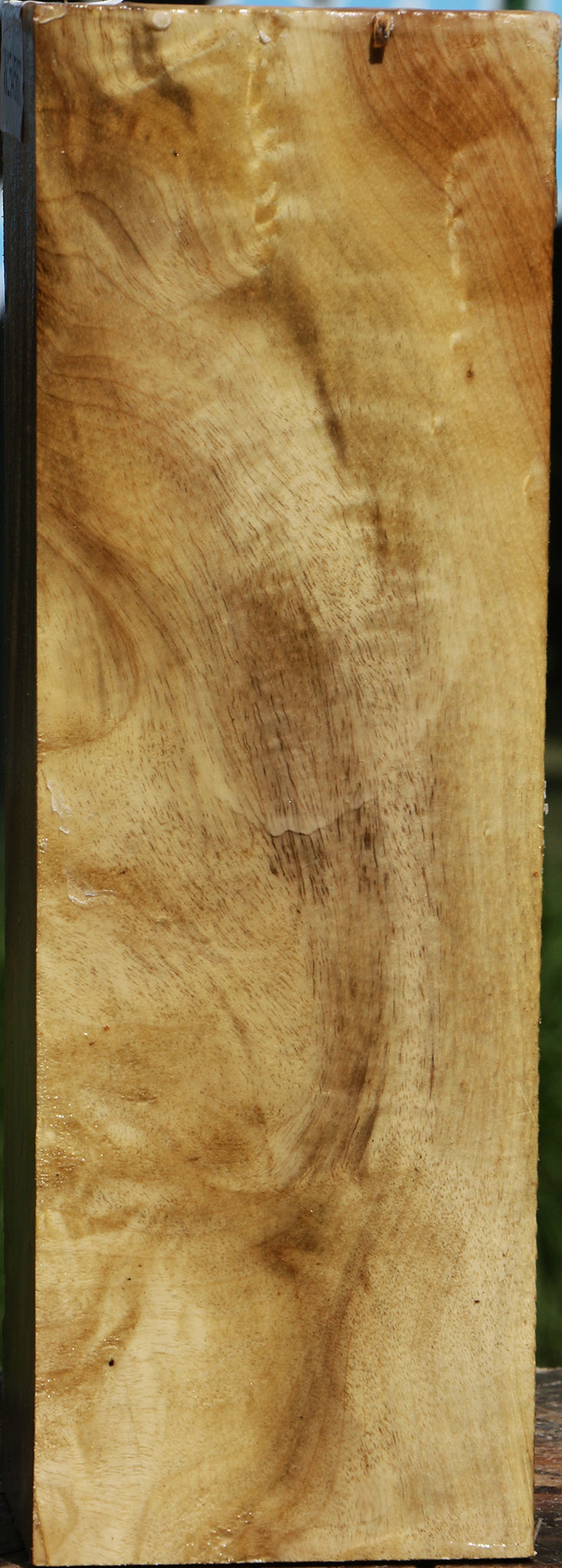 Figured Myrtle Vessel Blank