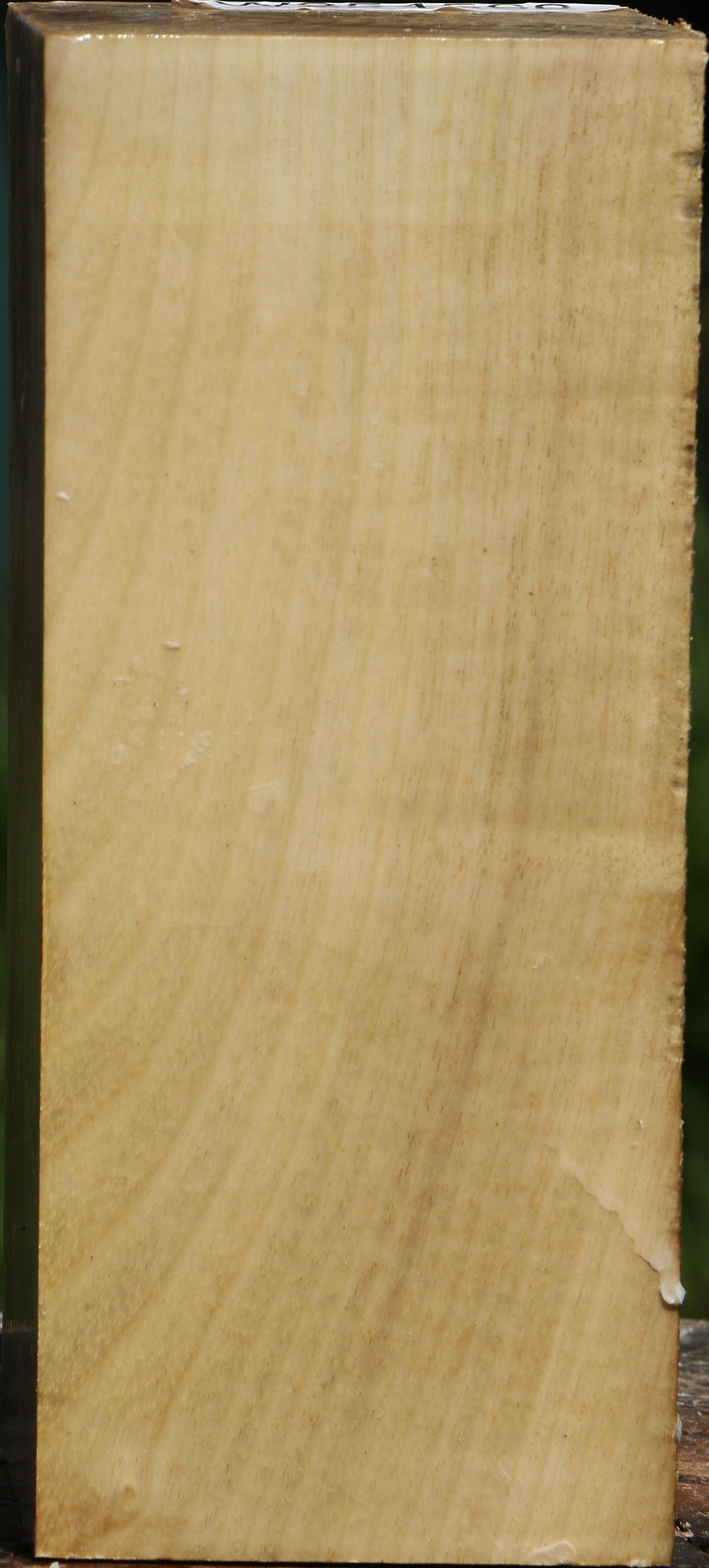 Figured Myrtle Turning Blank