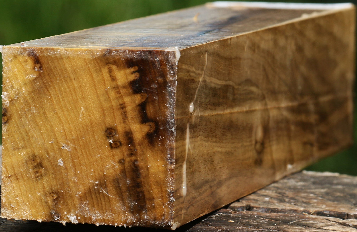 Extra Fancy Myrtle Turning Square