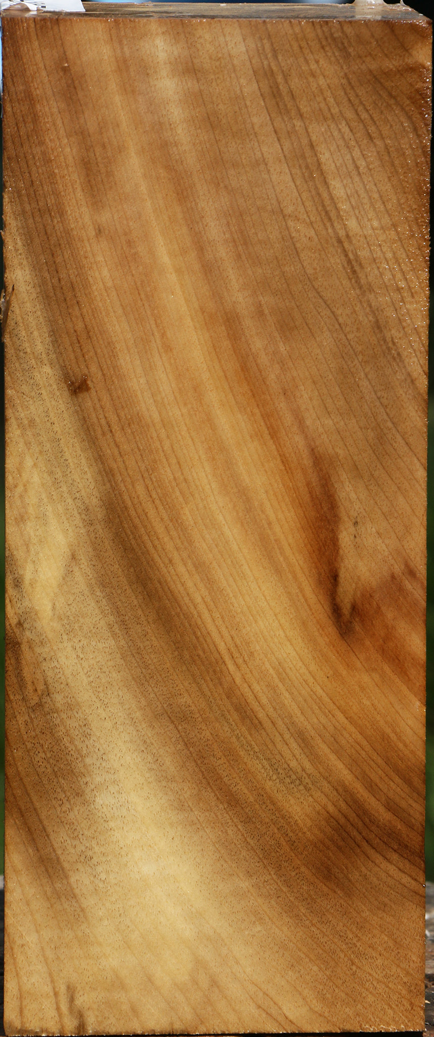 Myrtle Turning Square