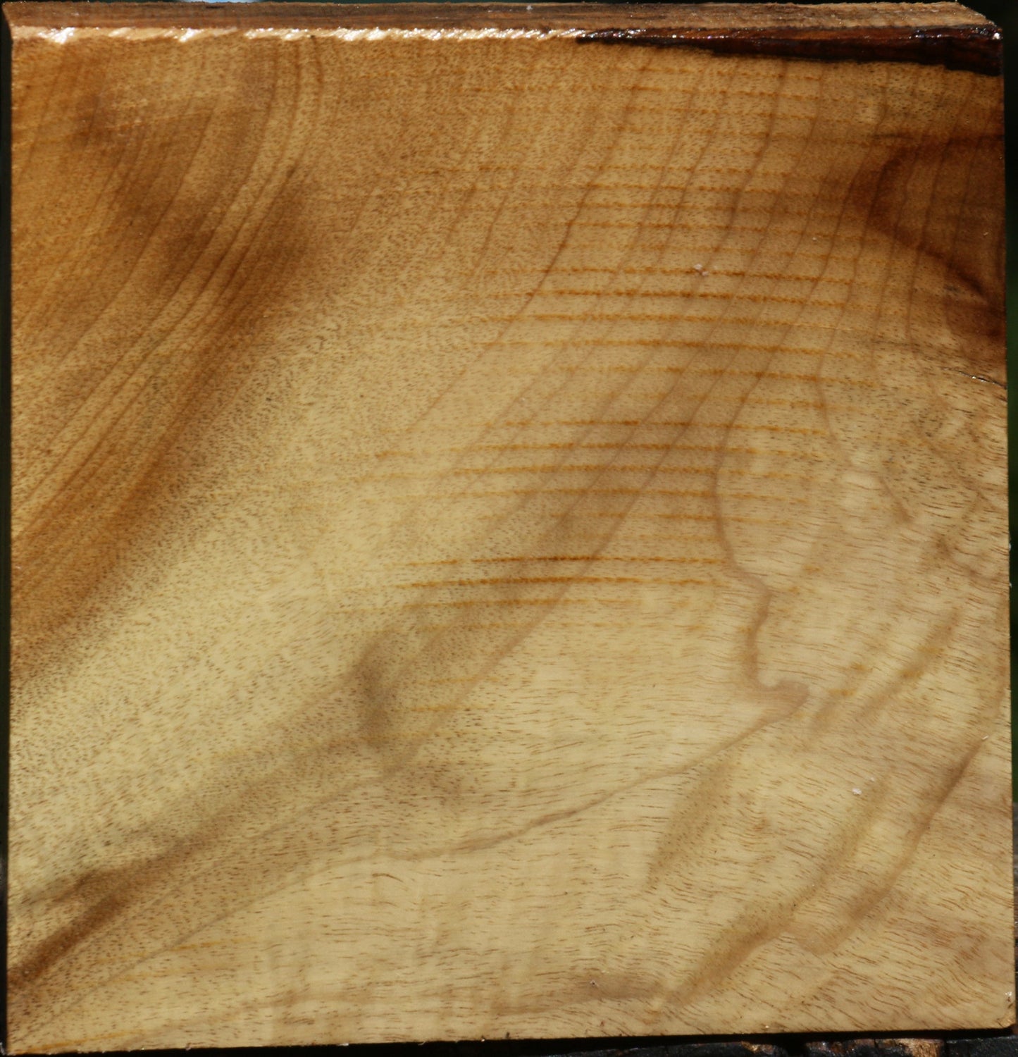 Figured Myrtle Bowl Blank