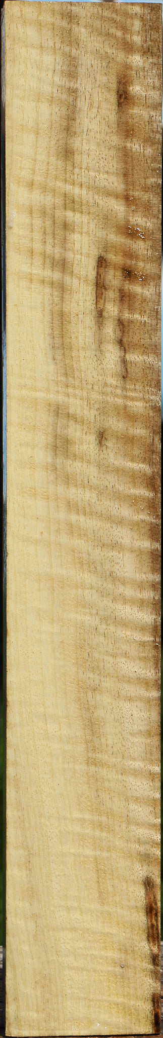 Extra Fancy Myrtle Turning Square