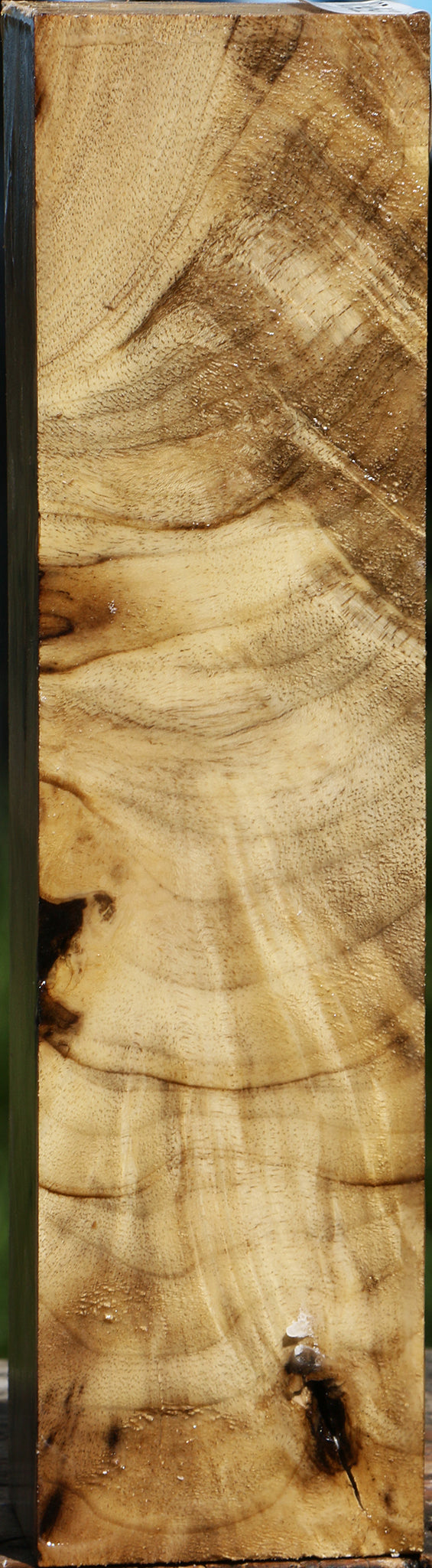 Extra Fancy Crotchwood Myrtle Turning Square