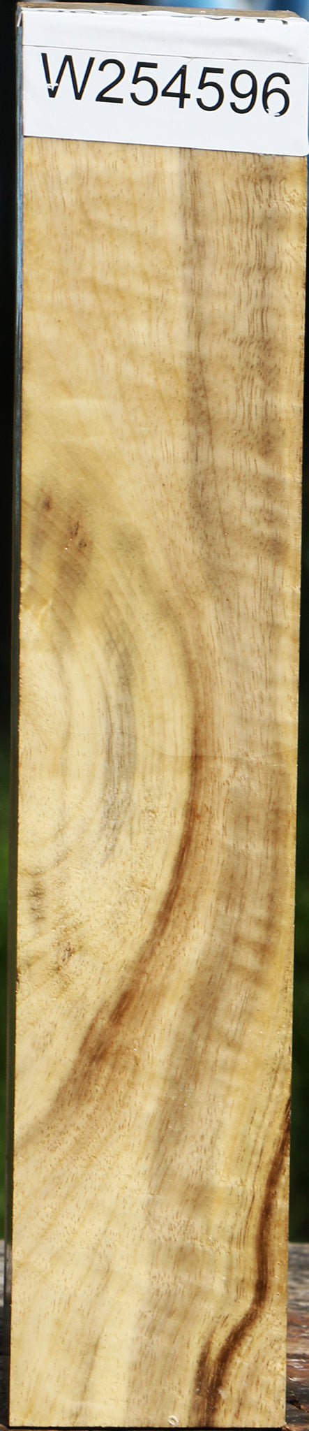 Figured Myrtle Turning Square