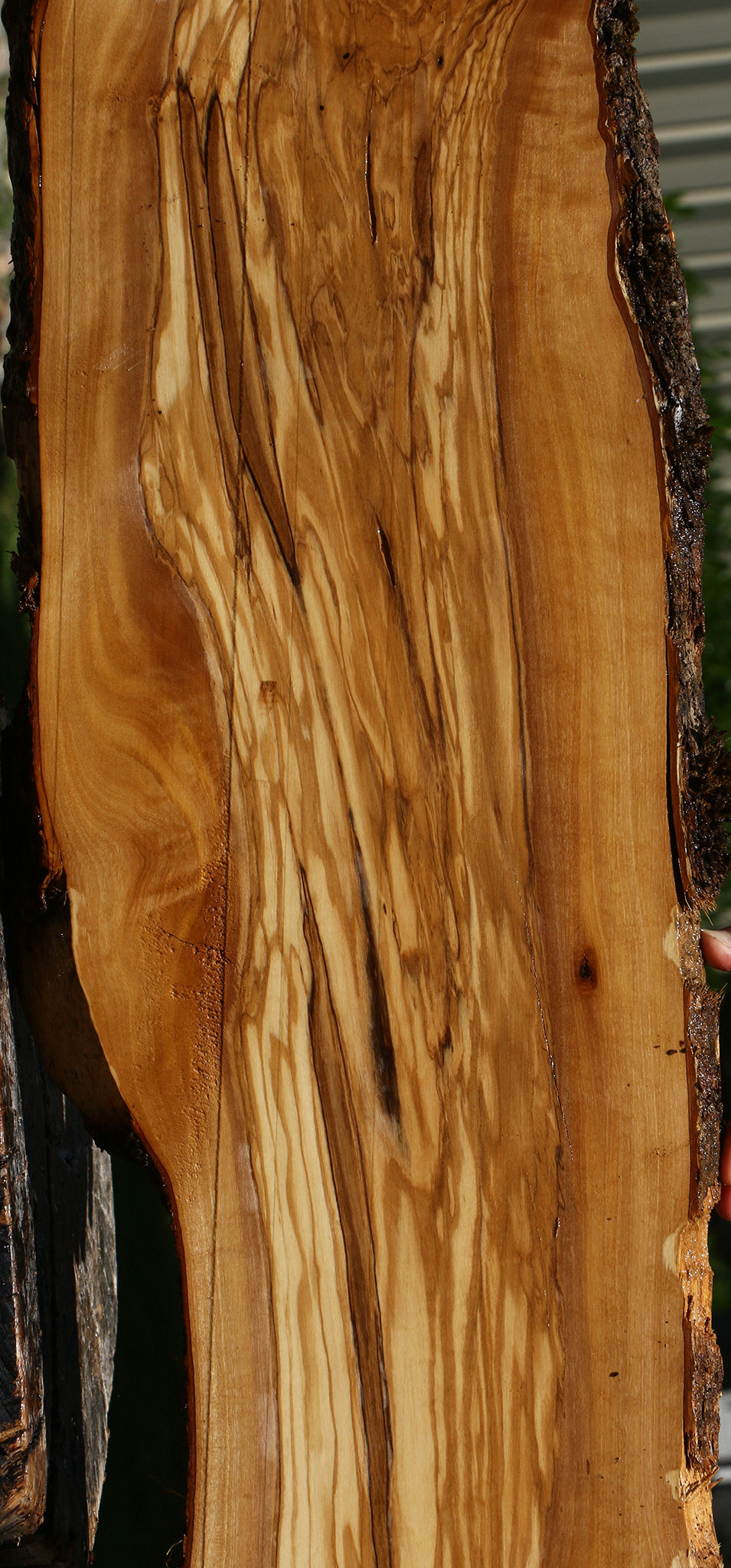 Figured Italian Olive Live Edge Lumber