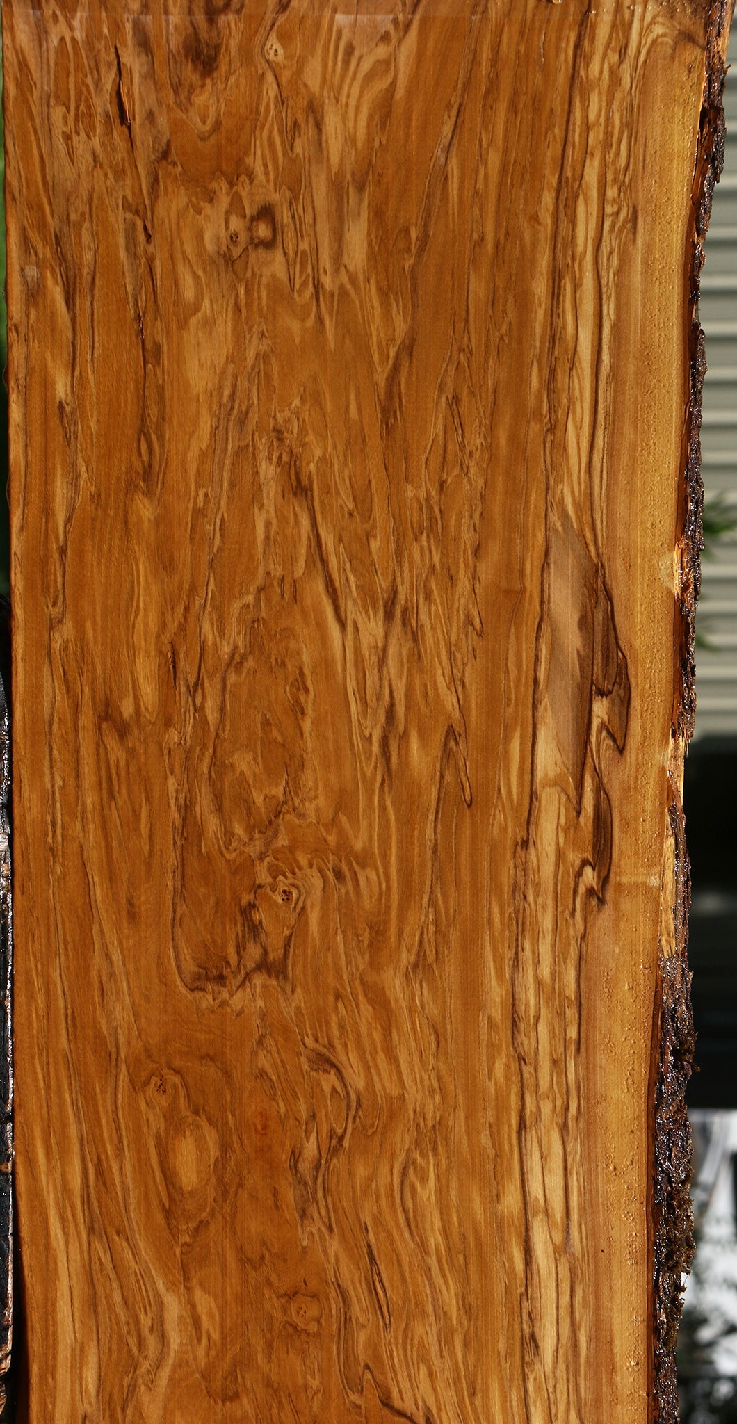 Extra Fancy Italian Olive Live Edge Lumber