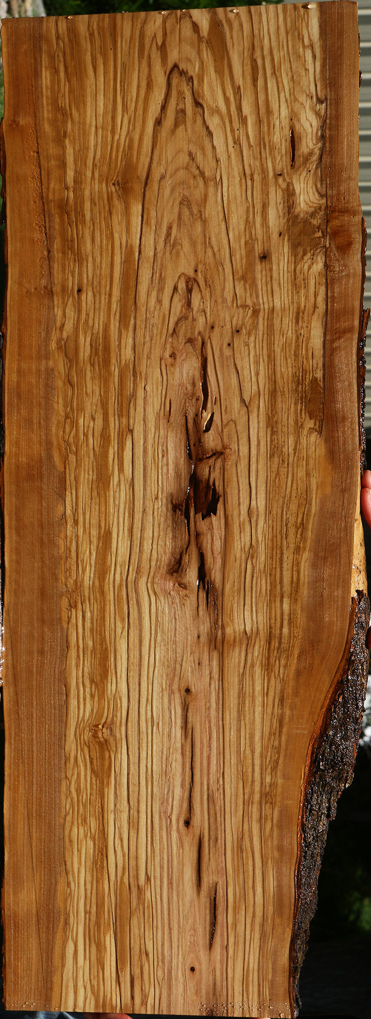 Figured Rustic Italian Olive Live Edge Lumber