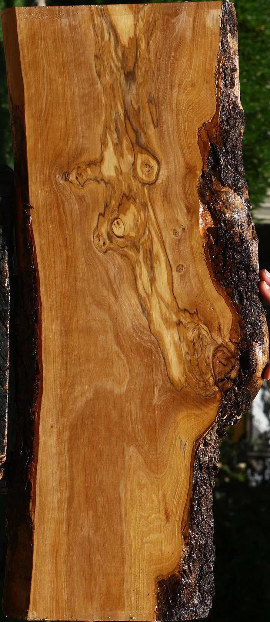 Extra Fancy Italian Olive Live Edge Lumber