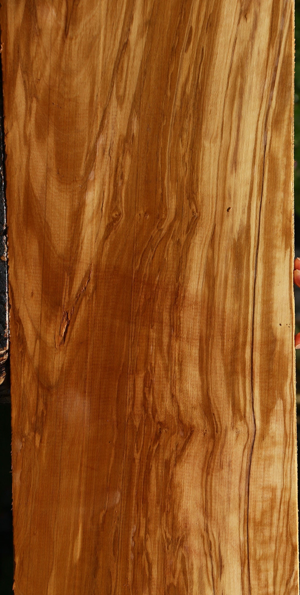 Figured Italian Olive Lumber
