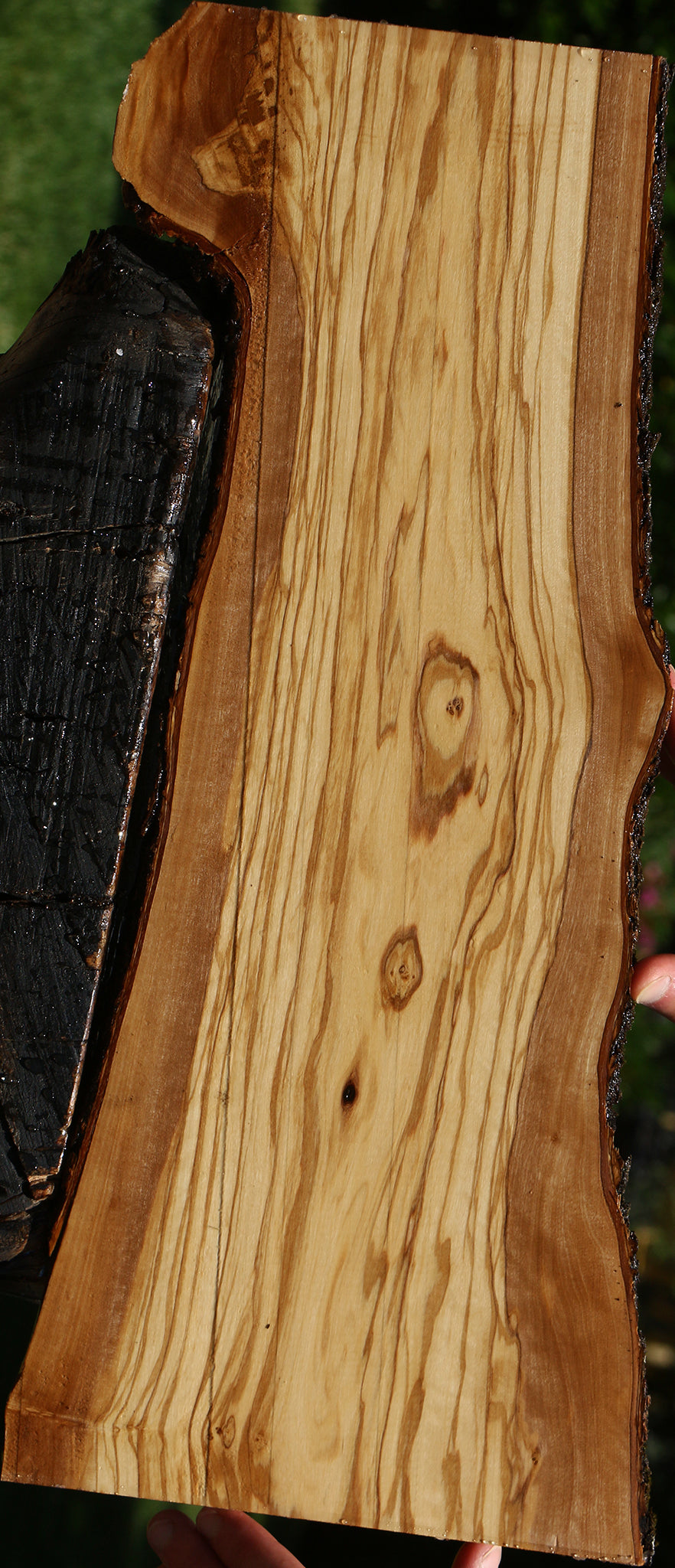 Italian Olive Live Edge Lumber