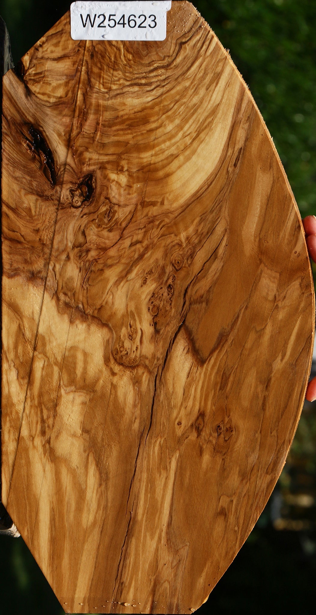 Exhibition Italian Olive Lumber