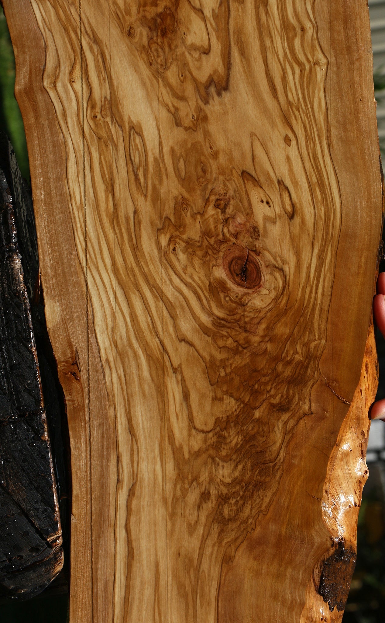 Extra Fancy Italian Olive Live Edge Lumber