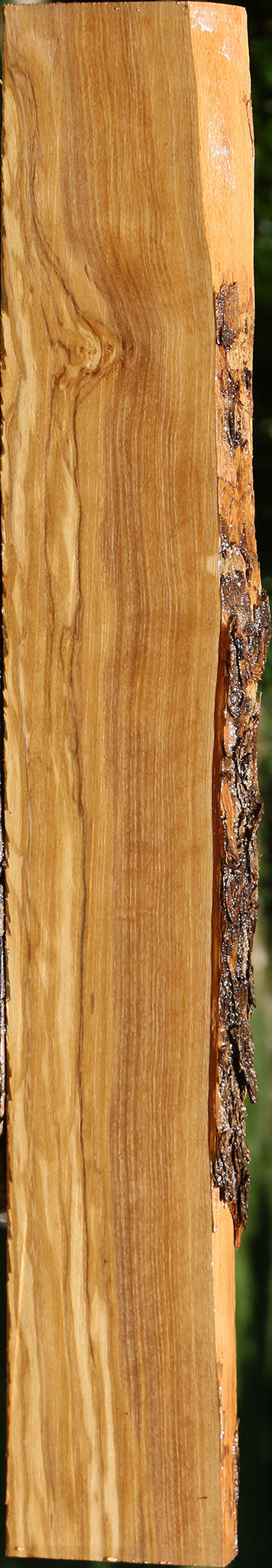 Figured Italian Olive Live Edge Lumber