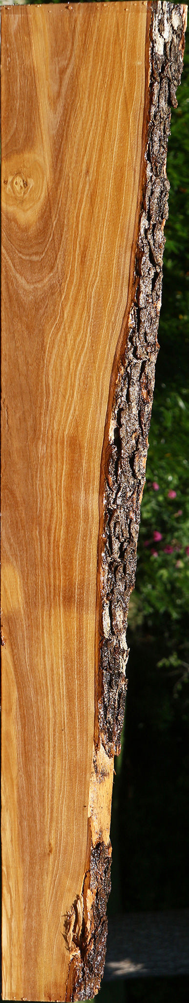 Italian Olive Live Edge Lumber