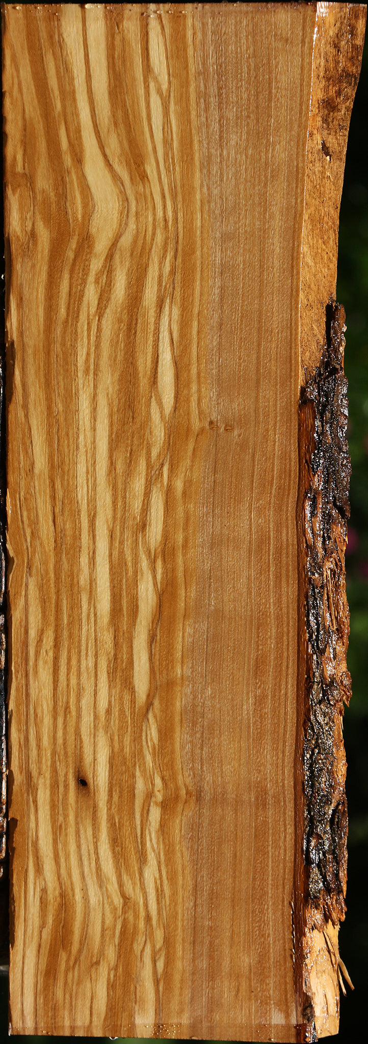 Figured Italian Olive Live Edge Lumber