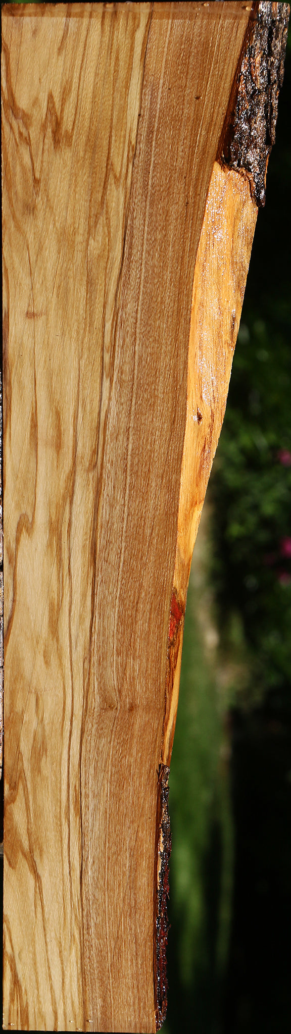 Italian Olive Live Edge Lumber