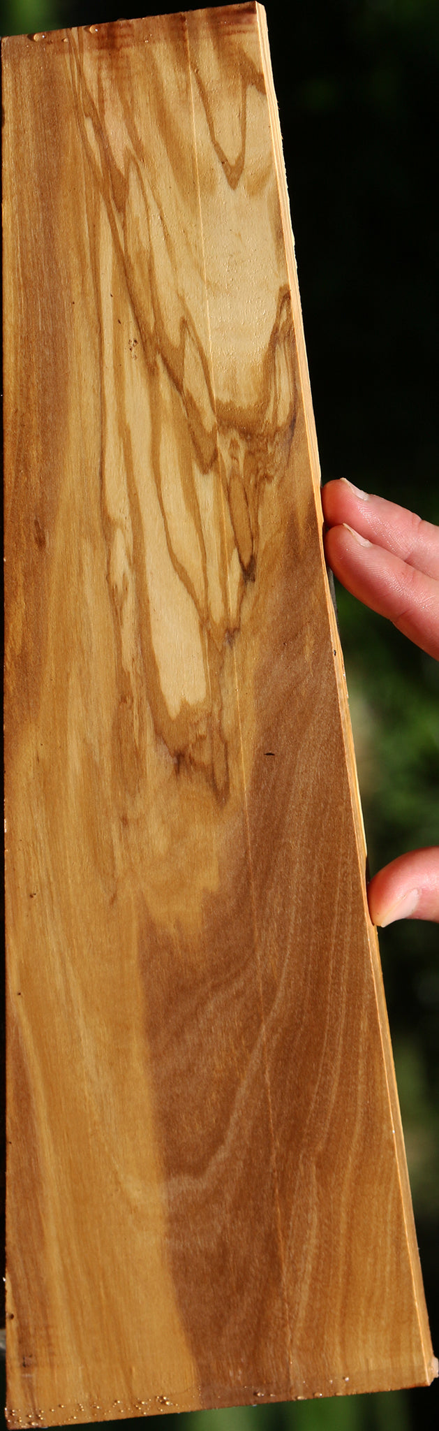 Italian Olive Lumber
