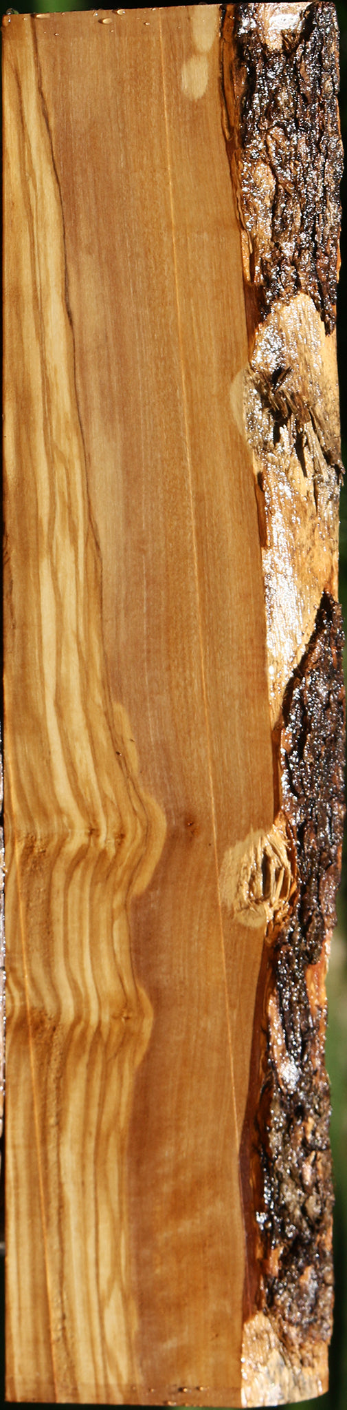 Figured Italian Olive Live Edge Lumber