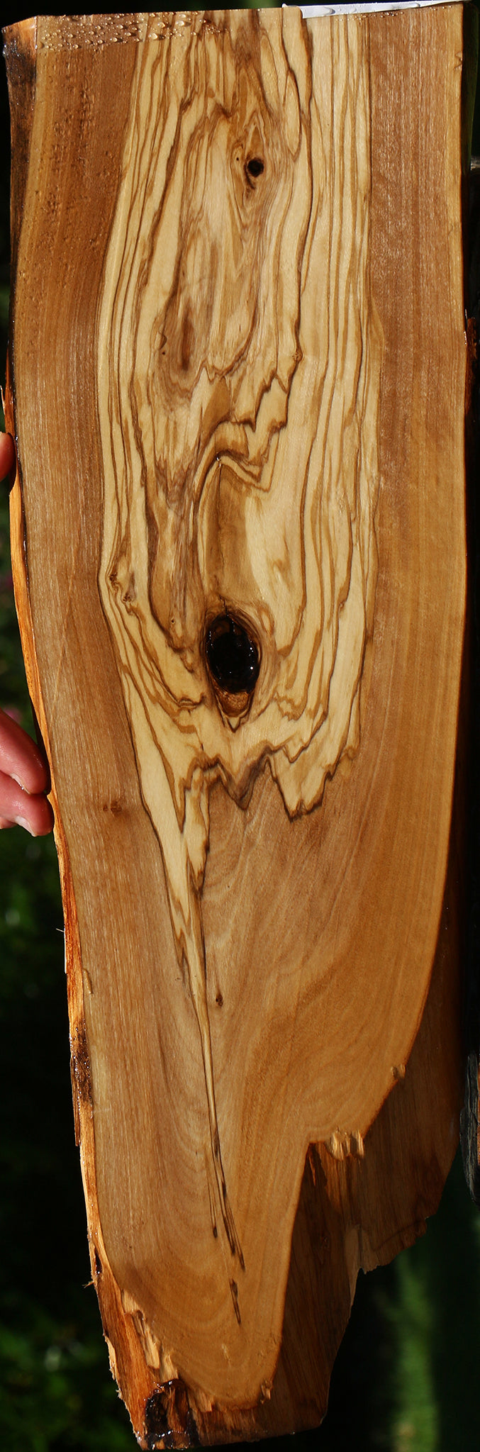 Italian Olive Live Edge Lumber