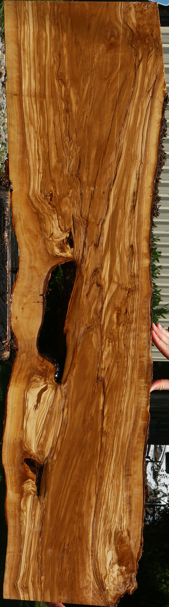 Figured Italian Olive Live Edge Lumber